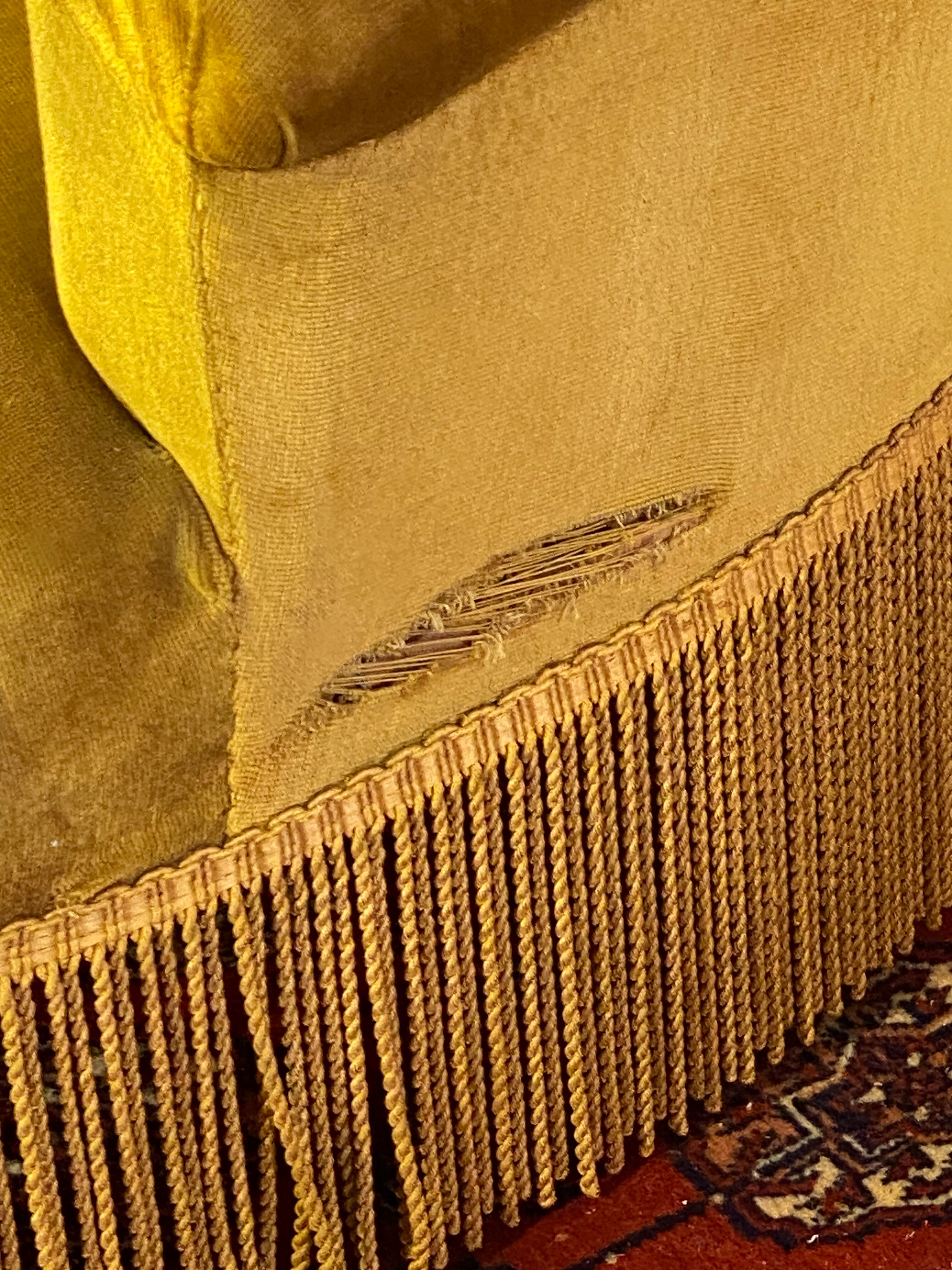 Toad armchair style Napoleon III Mustard