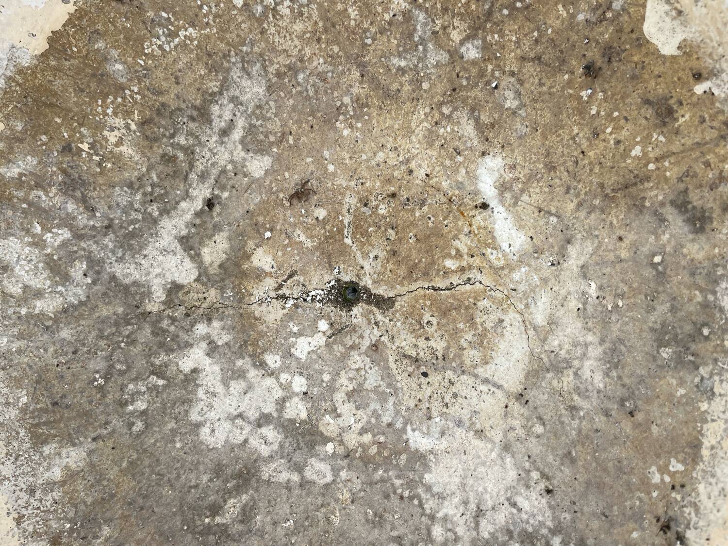 Pair of Willy Guhl planters, 1960, fiber cement