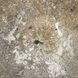 Pair of Willy Guhl planters, 1960, fiber cement