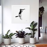 Photograph by Clarlieu signed and numbered