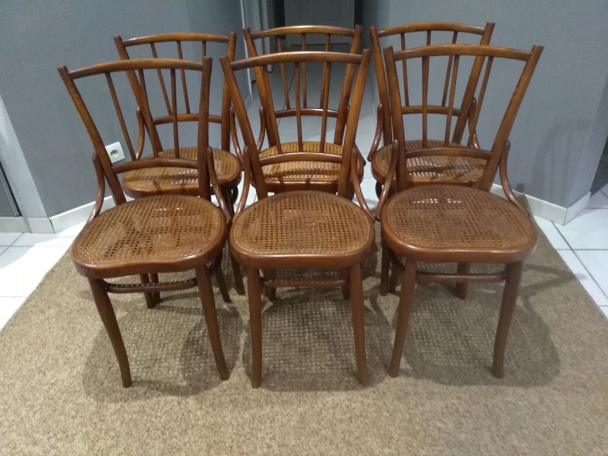 Suite of 6 chairs by Bistrot Austro-Hungarian Fium 1890