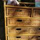 Rattan chest of drawers
