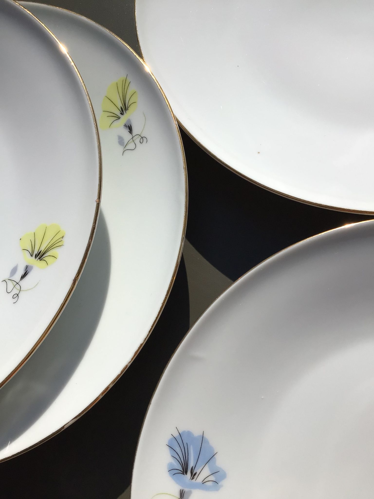 10 plates dessert porcelain decoration flowers 50's melitta