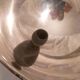 Service bell/ serving dish design restaurant cote d'azur me.argente