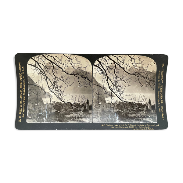 Photographie ancienne stereo, stereograph, luxe albumine 1903 Lac de Lucerne, Suisse