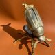 Zoomorphic scarab ashtray