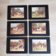 Set of 6 vintage Pimpernel placemats