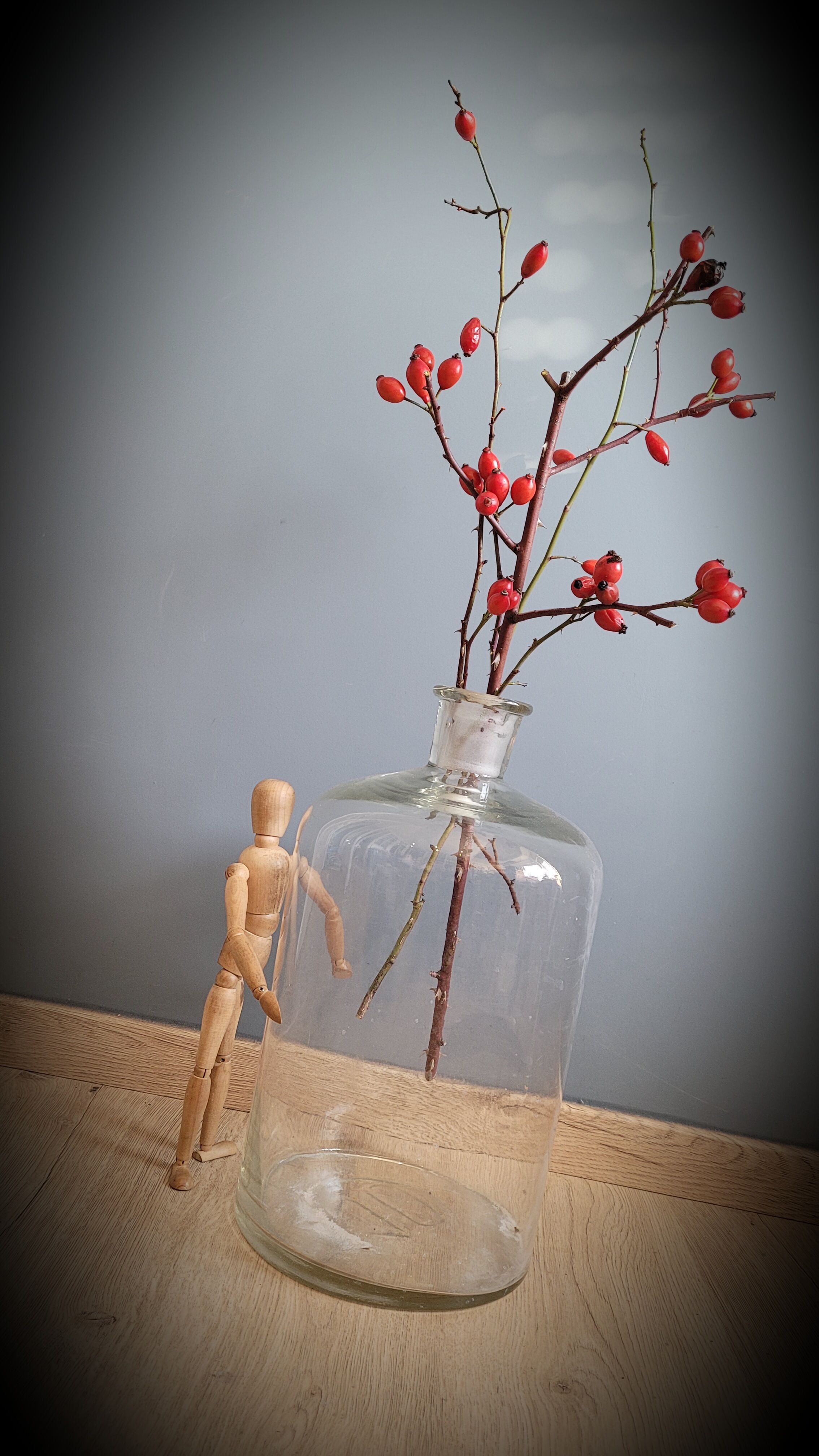 Transparent 10L apothecary bottle