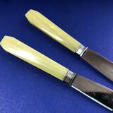 Box of 6 bakelite handle table knives France early 20th century