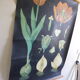Affiche botanique La Tulipe par Jung Koch Quentell créée vers 1953 et imprimé en 1975 sur toile de lin en Allemagne