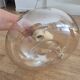 Suspension transparente beige