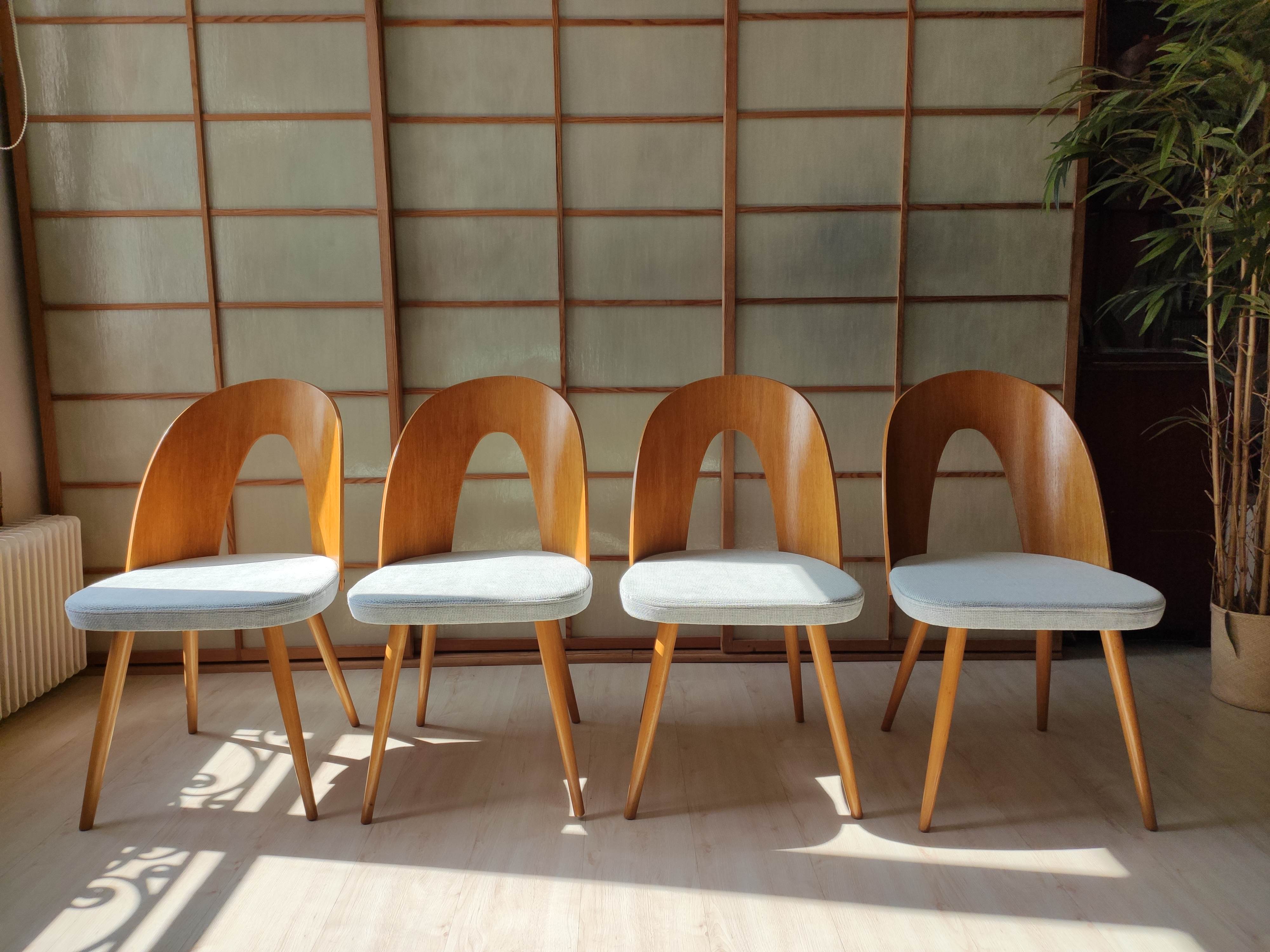 Series of 2 chairs Antonin Suman 60s
