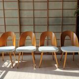 Series of 2 chairs Antonin Suman 60s