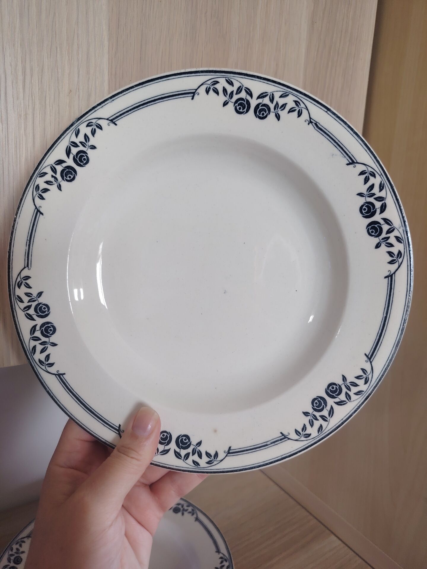 Deep plates ironstone Saussure