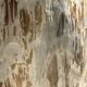 Very large white and grey petrified wood side table H45 D39 - 334