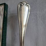 Silver metal cake peeler.