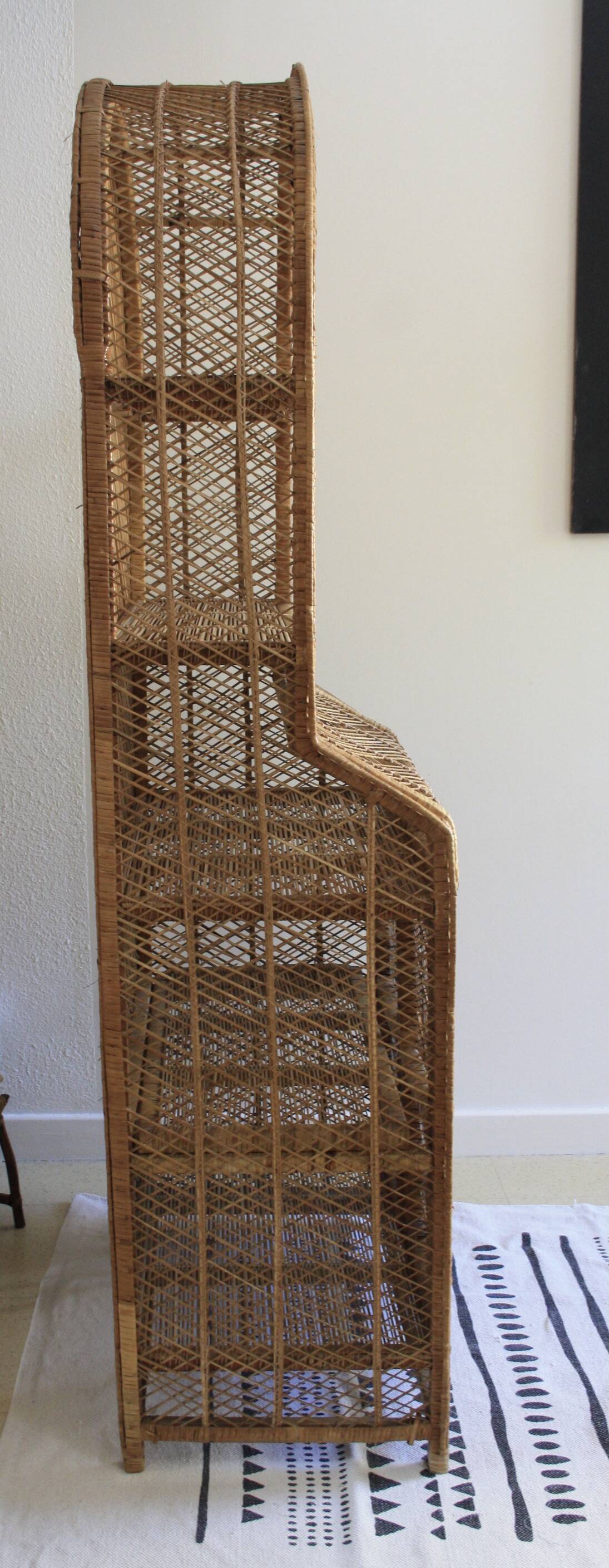 Rattan and woven wicker library