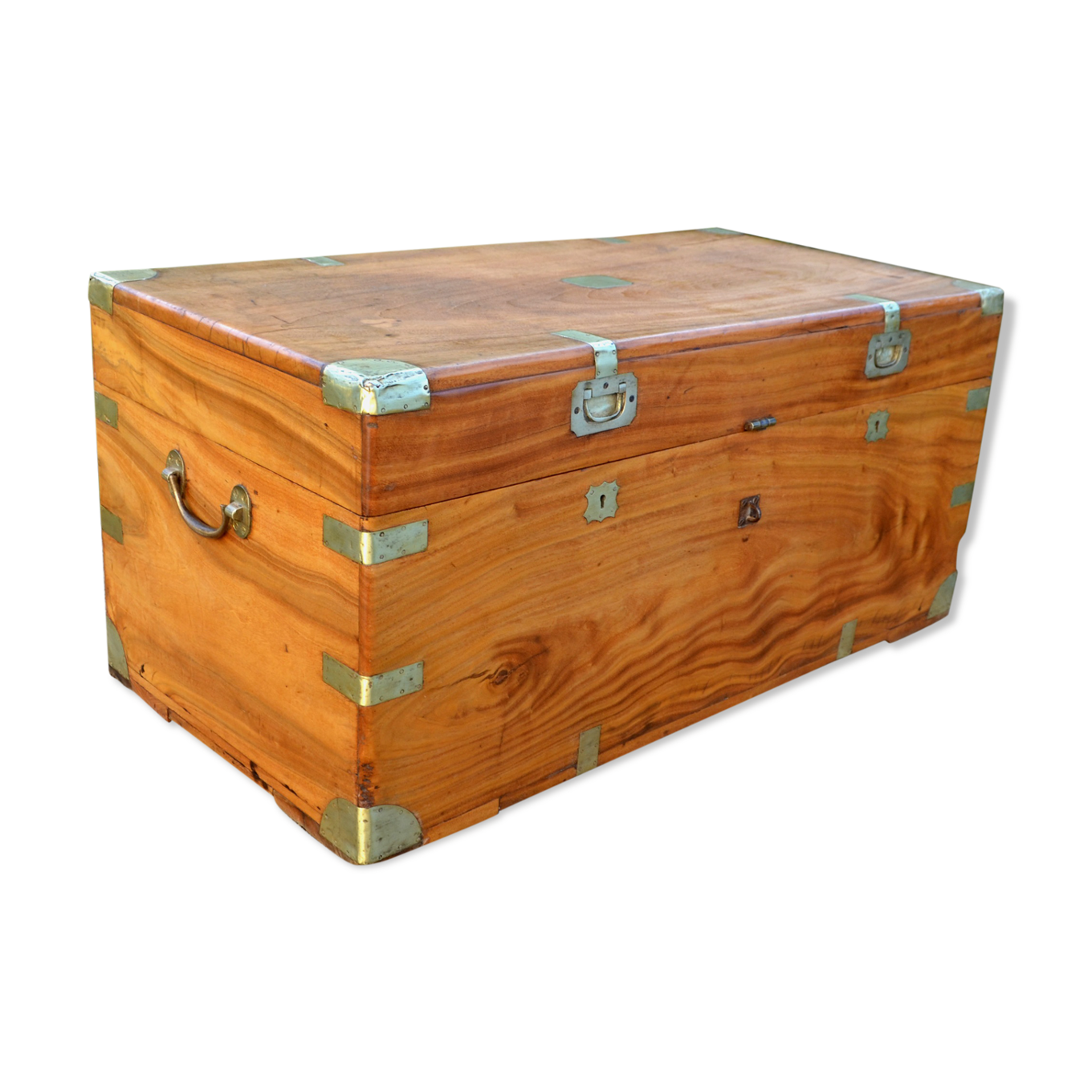 Malle en camphrier Selency Malle en camphrier Selency