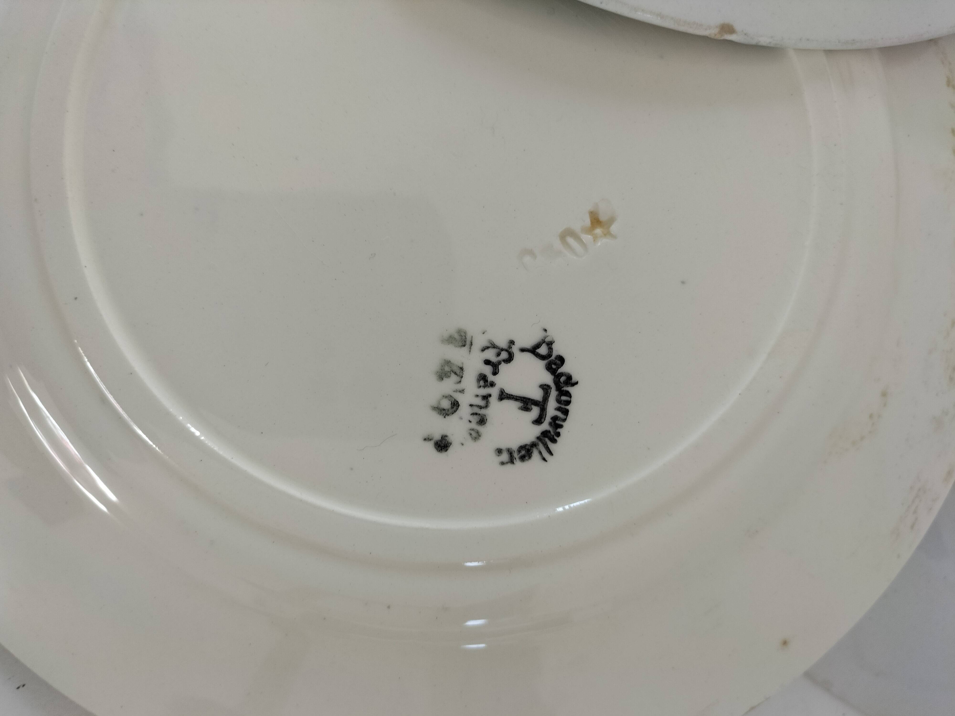 8 ironstone plates from the 19th century in blue camaïeu, mixed manufacturers.