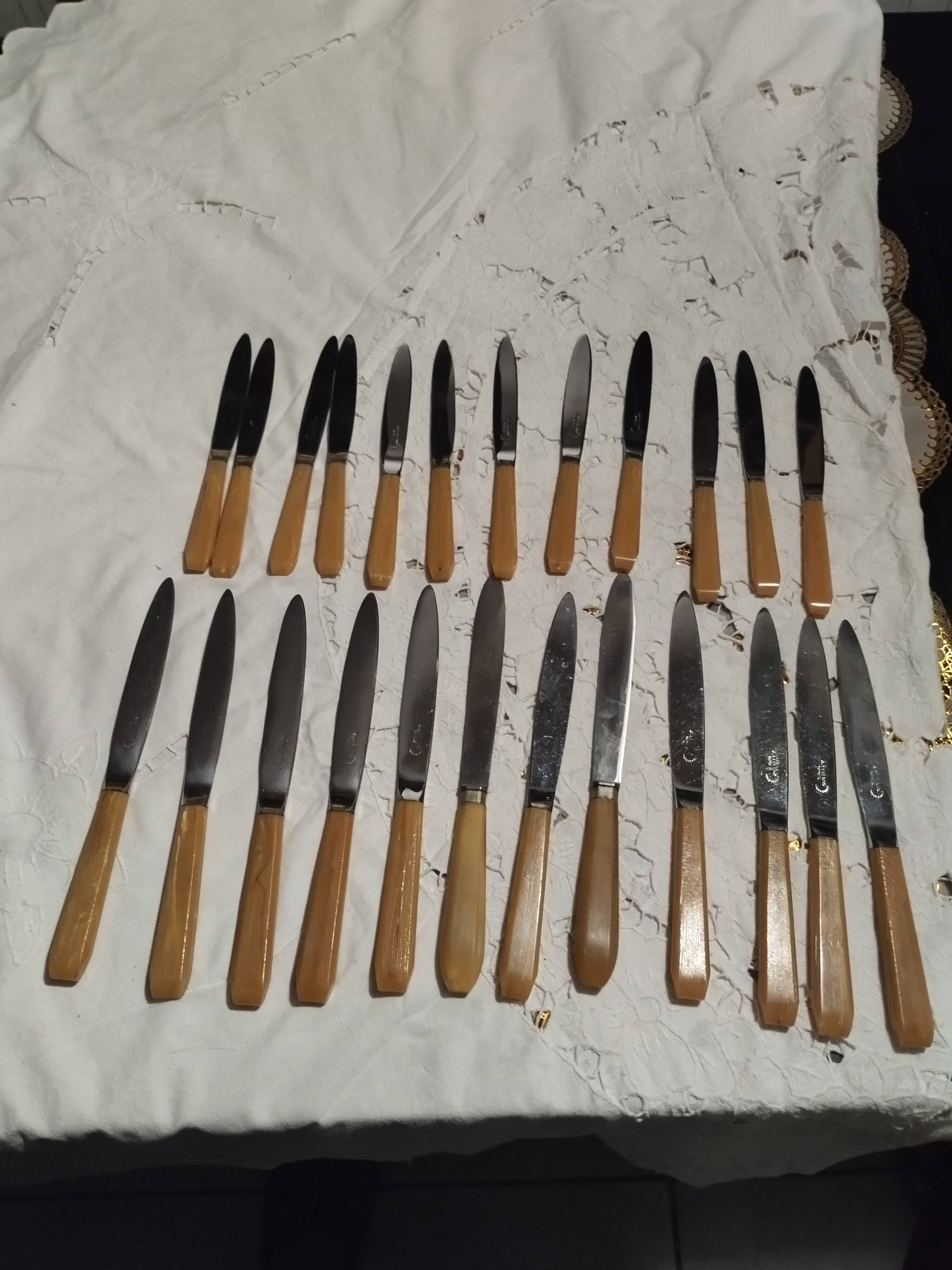 ménagère de couteaux en corne
