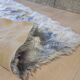 Carpet Rug gray 126x66cm