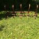 Old coat rack