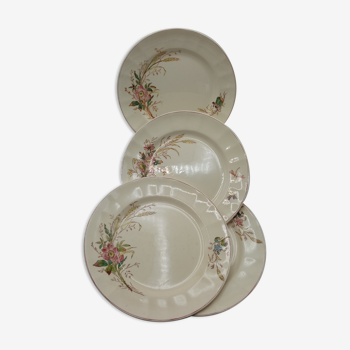 Longchamp earthenware plates