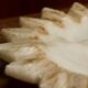 Sunburst vide poche in hand-carved alabaster, 1960s