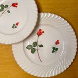 Luneville with Roses serving dishes set