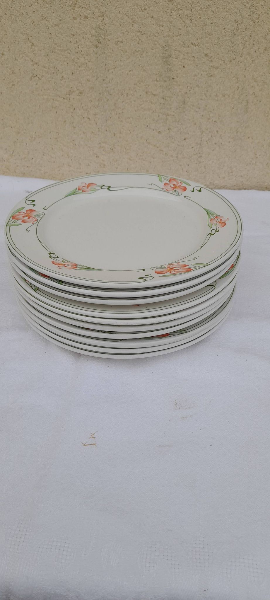 10 Villeroy & Boch vitro porcelain plates Miami model diam 23 cm