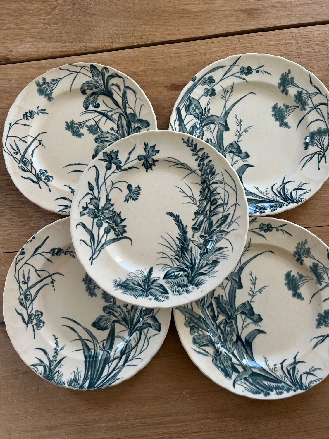 Set of 5 dessert plates Terre de fer Jules Vieillard