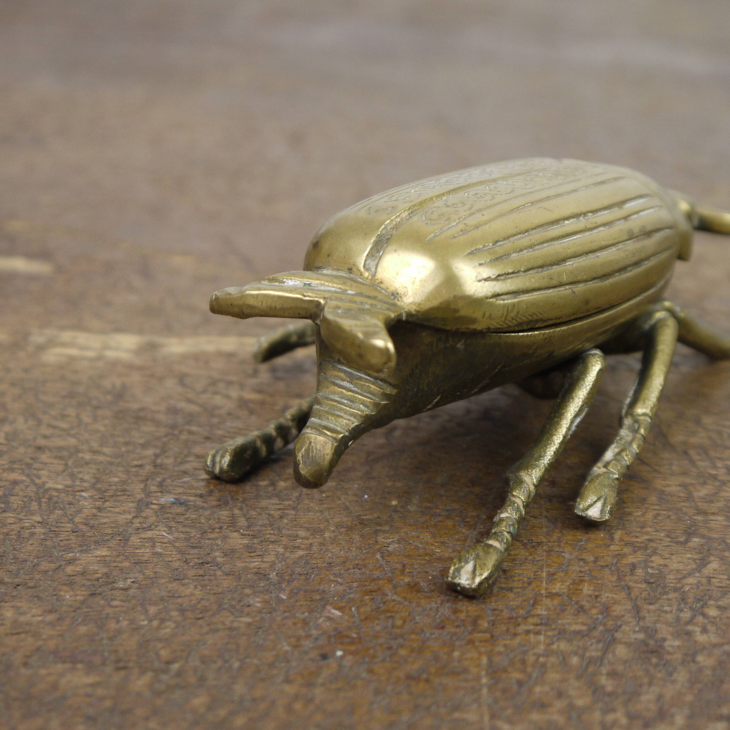 Brass beetle