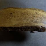 Elm burl coffee table
