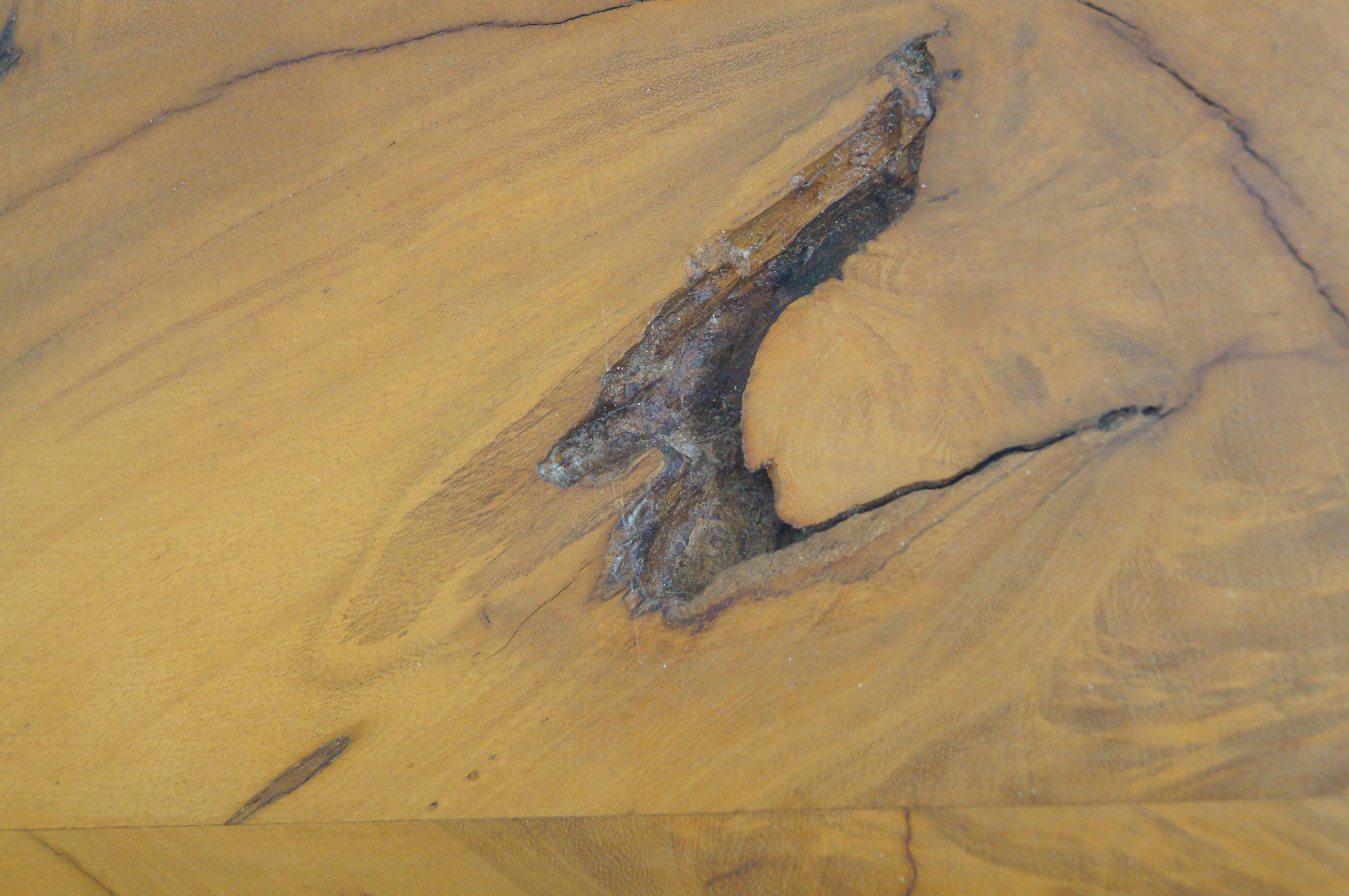 Aesthetic design wall shelf