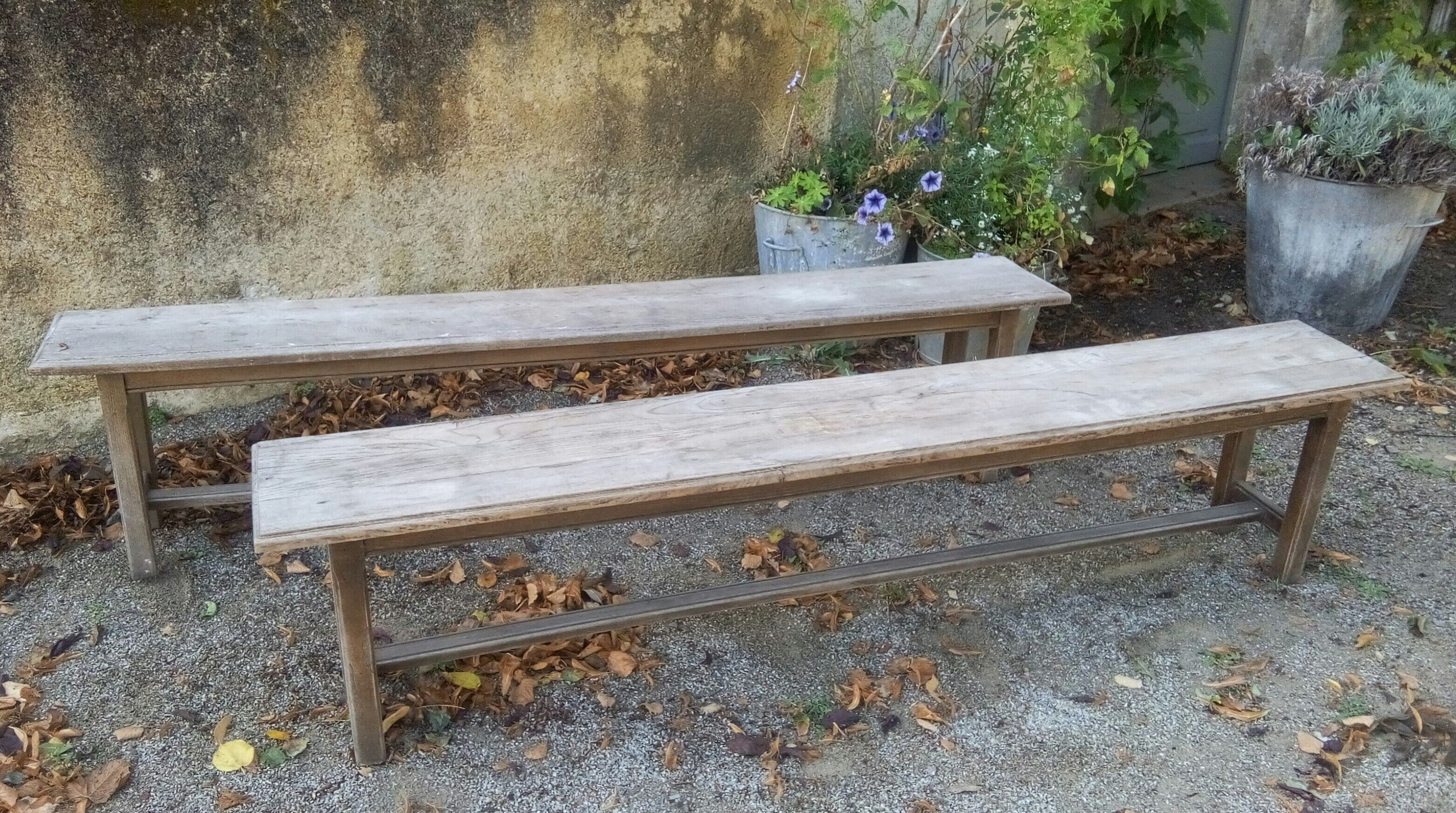 Pair of oak benches