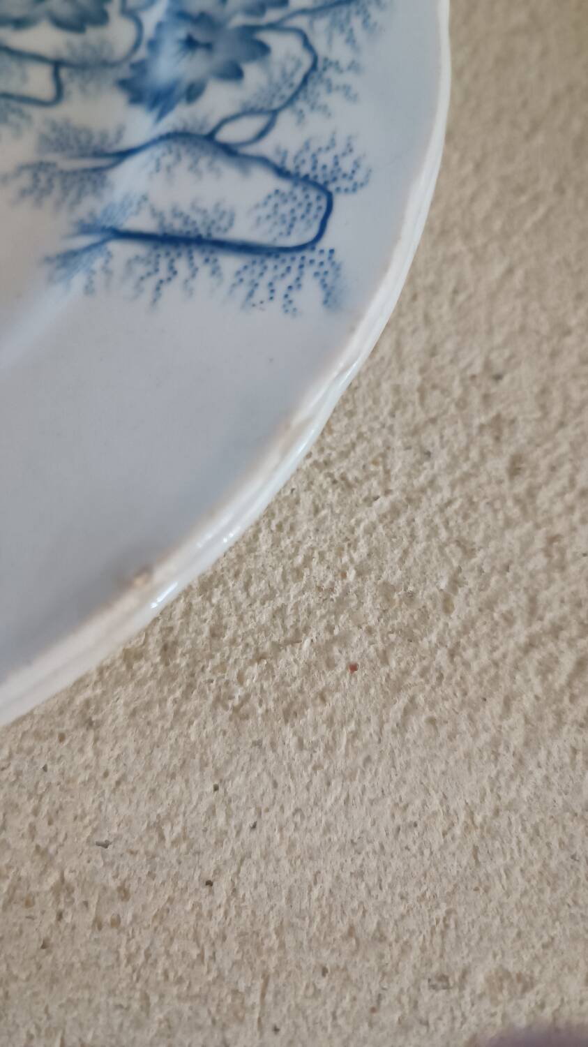 4 assiettes Creil-Montereau modèle Flora Lichen