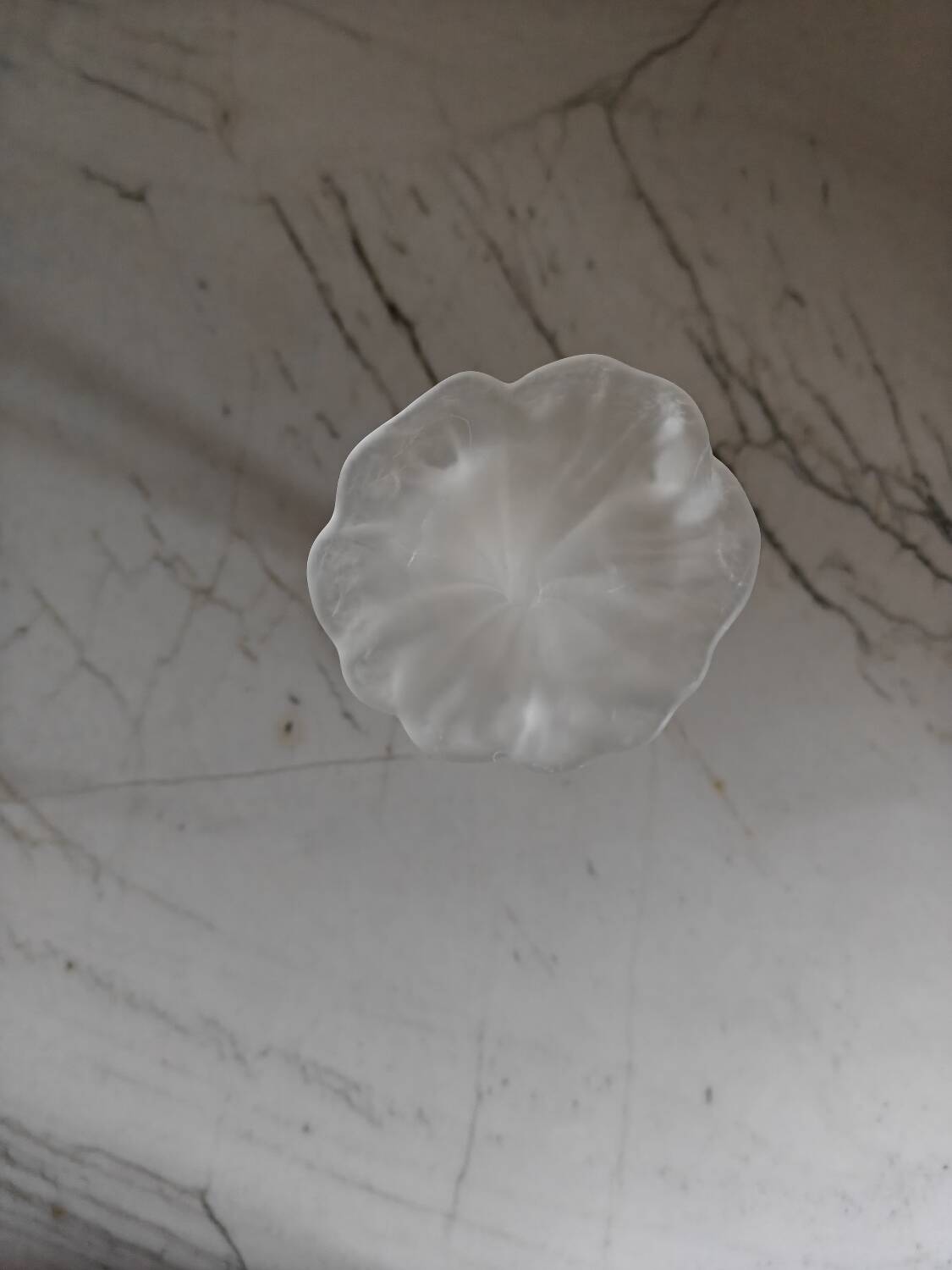 Single-stem vase