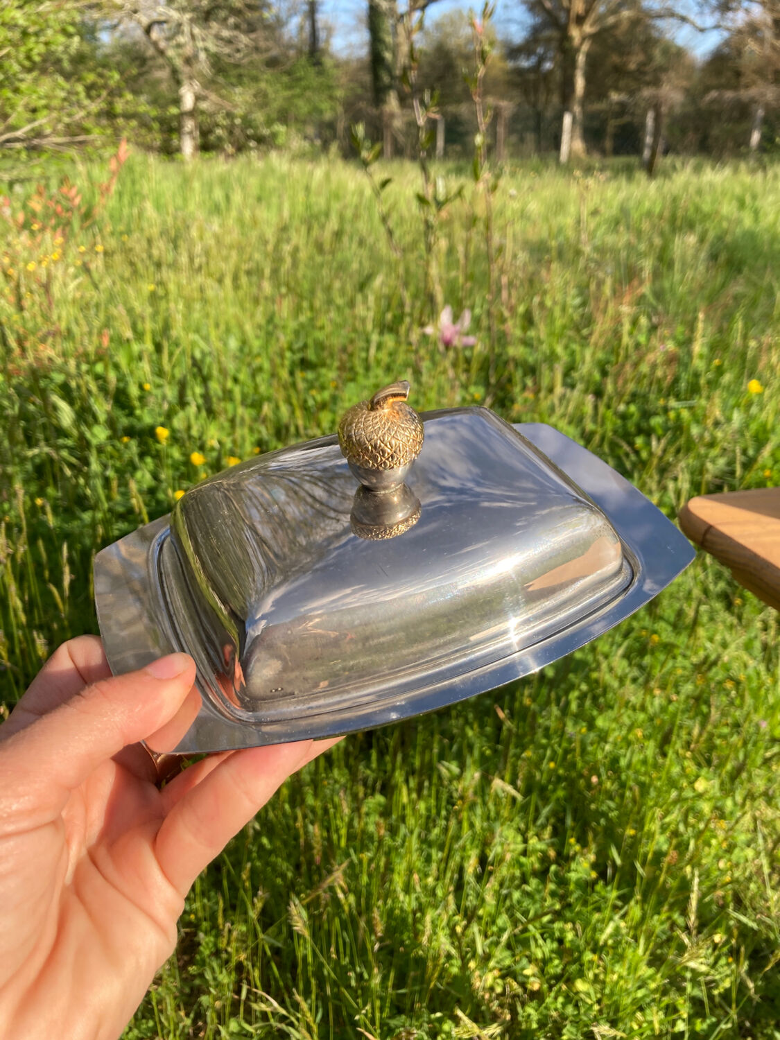 Silver metal glans butter dish