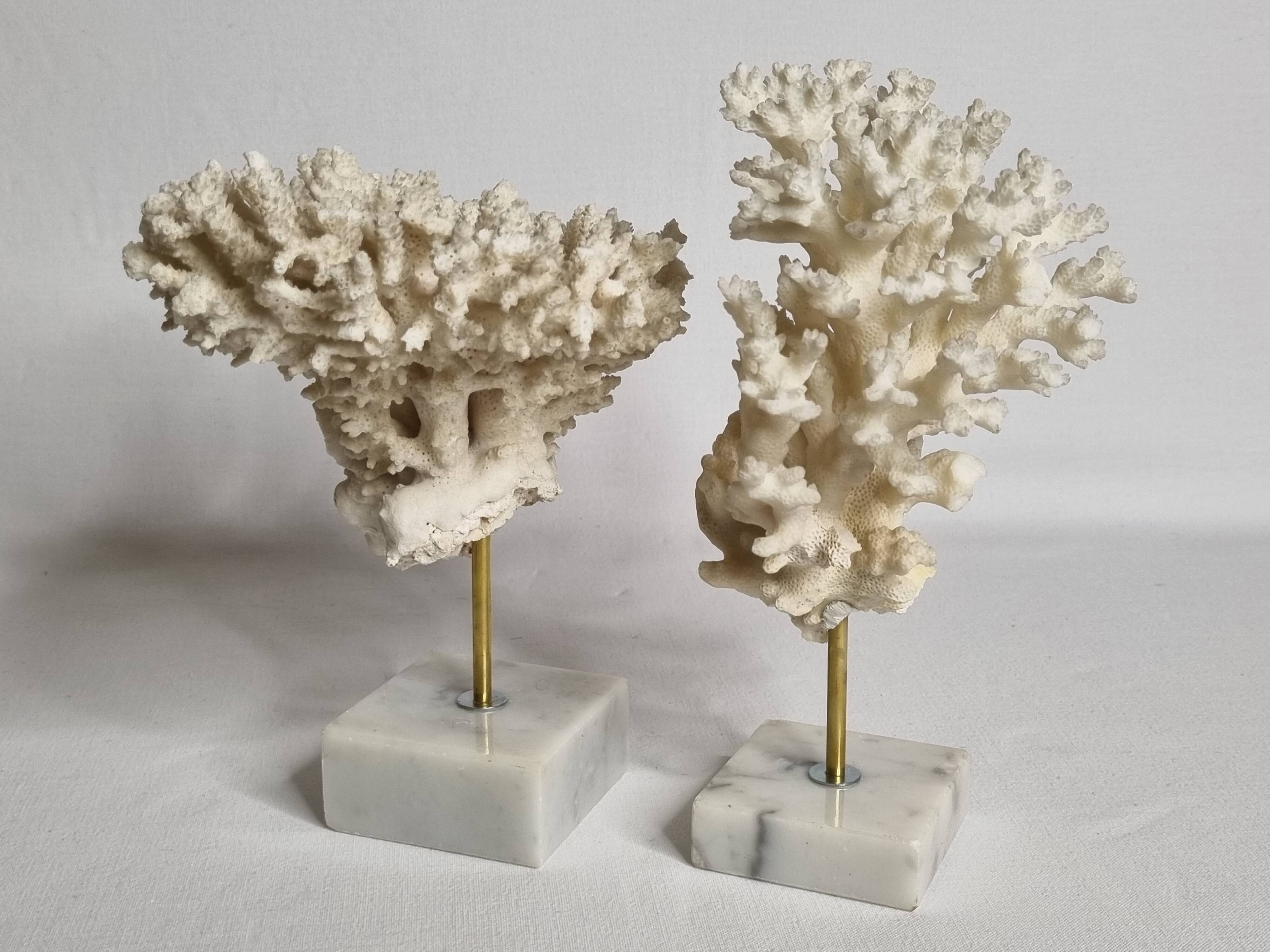 Set of four old white corals on marble base, 20 cm