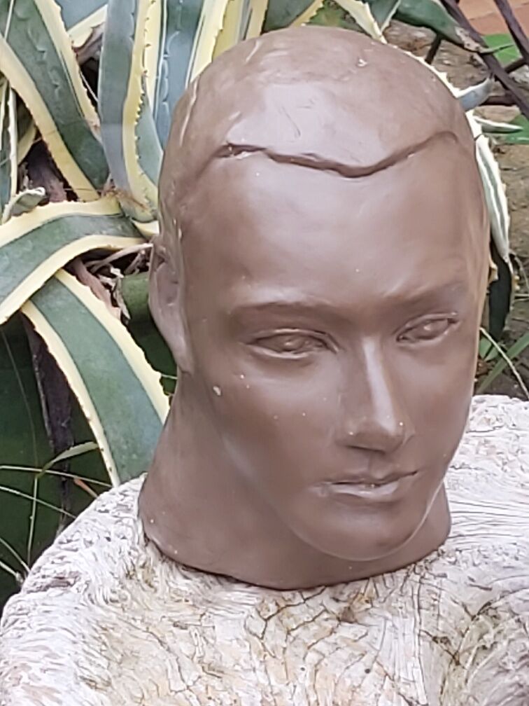 Buste tête homme terre cuite
