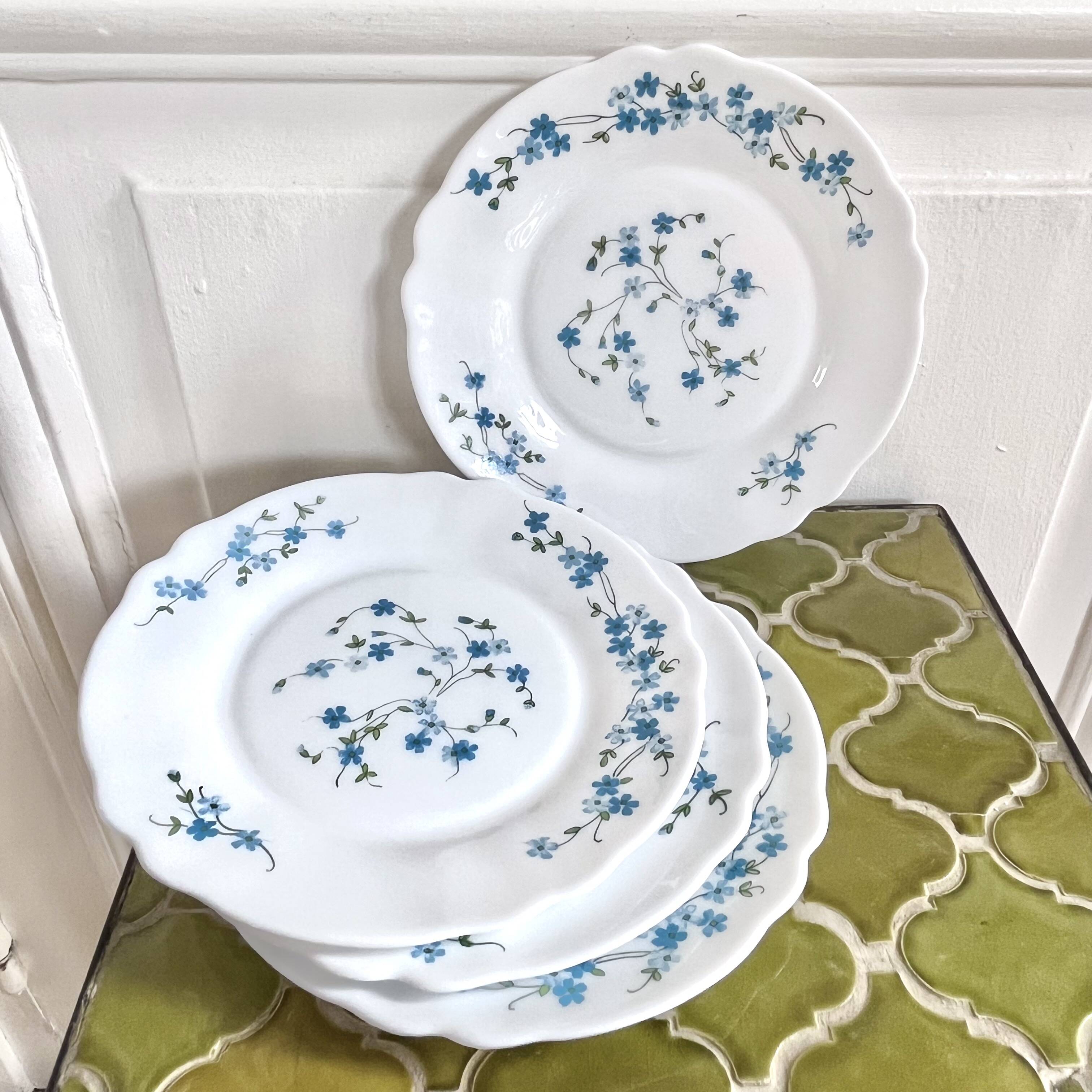 Assiettes à dessert fleurs myosotis Arcopal