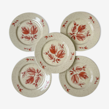 5 Petites assiettes Tulowice motif fleuris mid century XXe