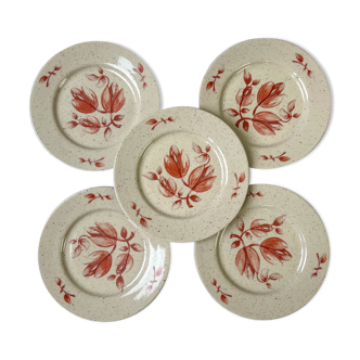 5 Small Plates Tulowice Floral Pattern Mid Century XXth