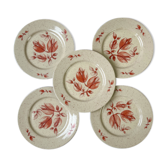 5 Petites assiettes Tulowice motif fleuris mid century XXe