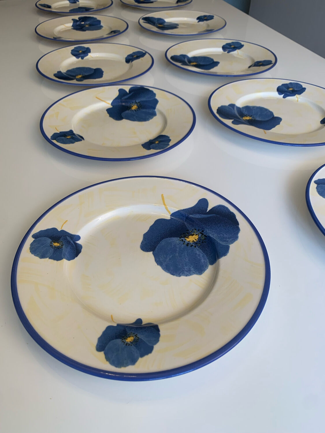 Lot de 10 assiettes plates en faïence de Lunéville