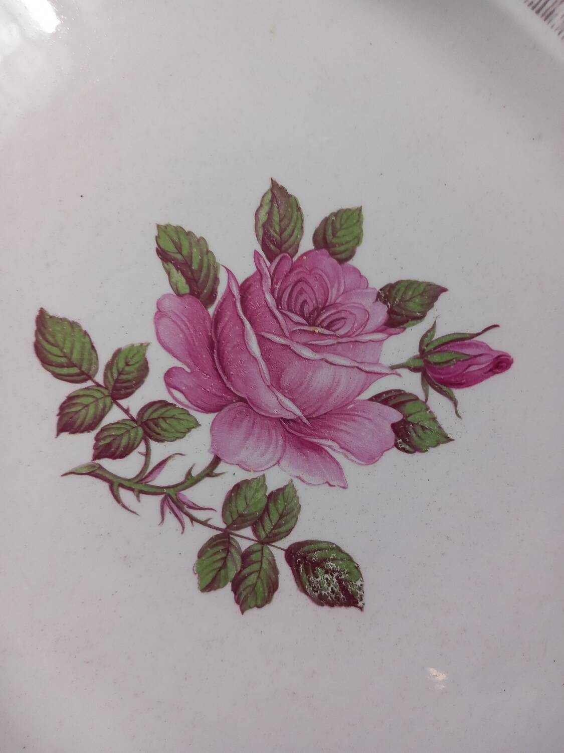 Old dish Digoin Sarreguemines