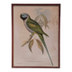 Cadre ancien ornithologique