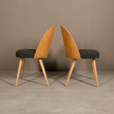 Set of 4 MidCentury Dining Chairs by A.Šuman,