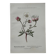 Botanical Plate 1800 Old Naturalist Engraving 19th Century Double-Sided