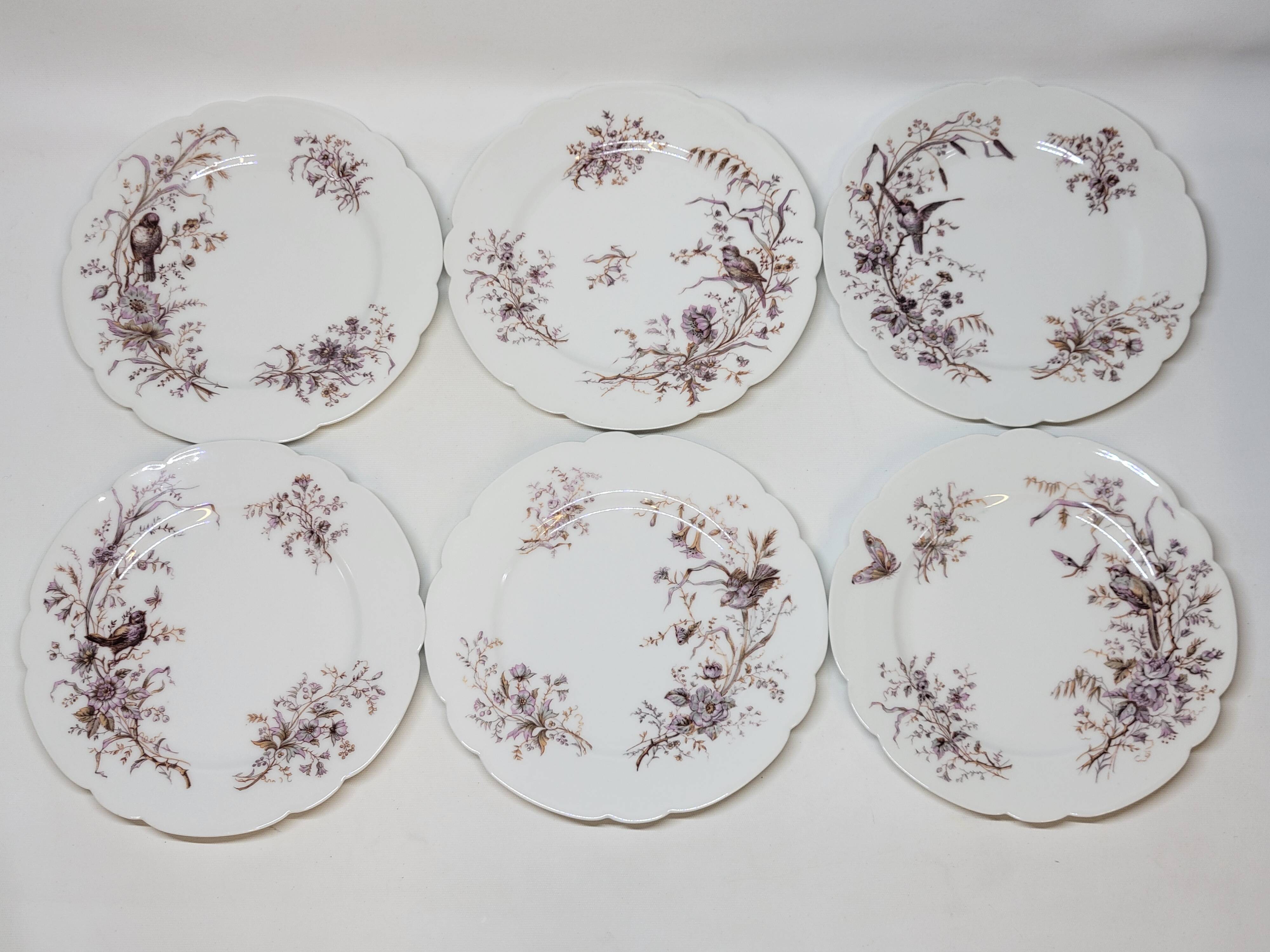 6 Superb Antique 19th Century White Porcelain Plates with Bird Decor